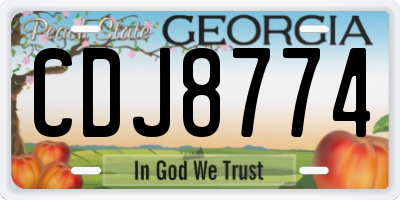 GA license plate CDJ8774