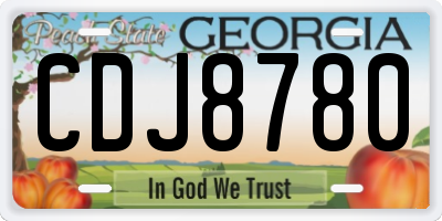 GA license plate CDJ8780