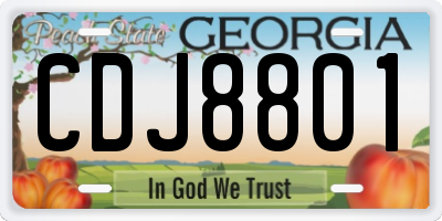 GA license plate CDJ8801