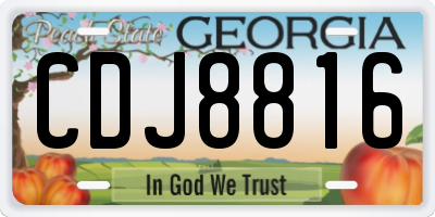 GA license plate CDJ8816