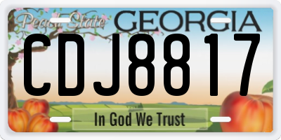 GA license plate CDJ8817