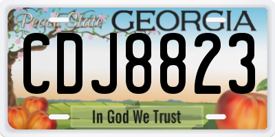 GA license plate CDJ8823
