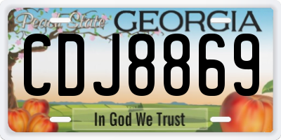 GA license plate CDJ8869