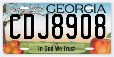 GA license plate CDJ8908