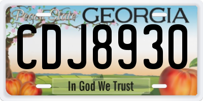 GA license plate CDJ8930