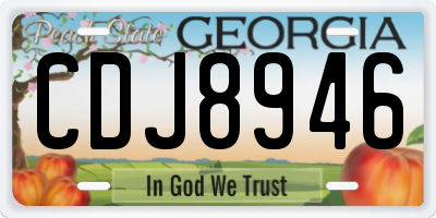 GA license plate CDJ8946