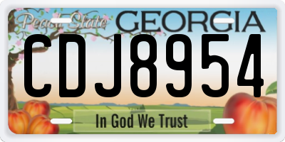 GA license plate CDJ8954