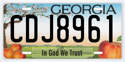GA license plate CDJ8961