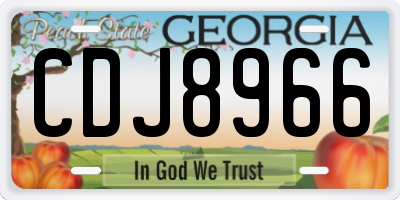 GA license plate CDJ8966