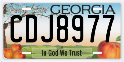 GA license plate CDJ8977
