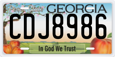 GA license plate CDJ8986