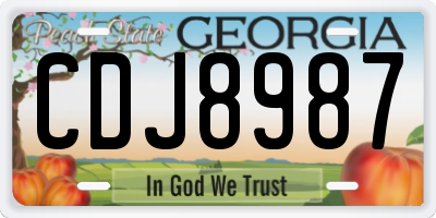 GA license plate CDJ8987