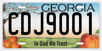 GA license plate CDJ9001