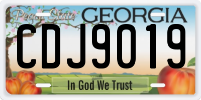 GA license plate CDJ9019