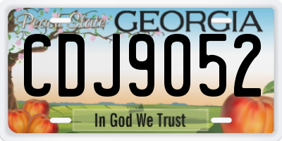 GA license plate CDJ9052