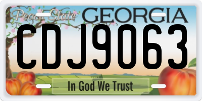 GA license plate CDJ9063