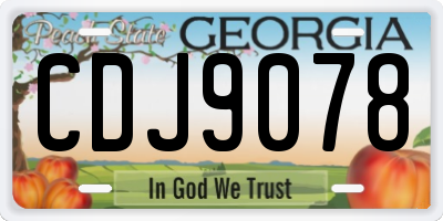 GA license plate CDJ9078