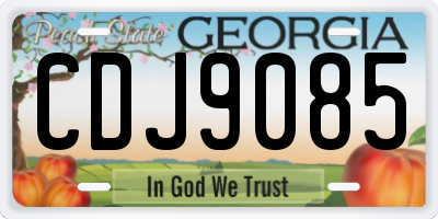GA license plate CDJ9085
