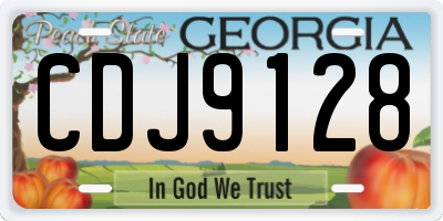 GA license plate CDJ9128