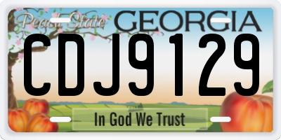 GA license plate CDJ9129