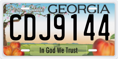 GA license plate CDJ9144