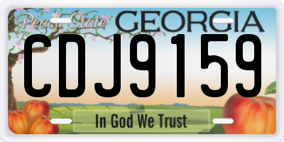 GA license plate CDJ9159