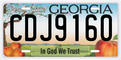GA license plate CDJ9160