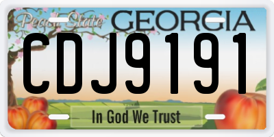 GA license plate CDJ9191