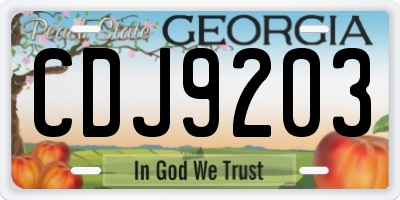 GA license plate CDJ9203