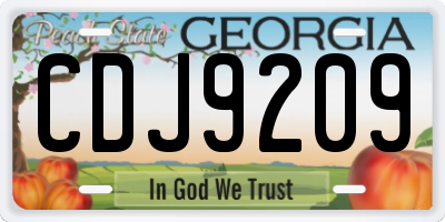 GA license plate CDJ9209