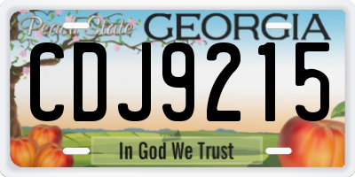 GA license plate CDJ9215