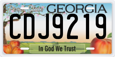 GA license plate CDJ9219