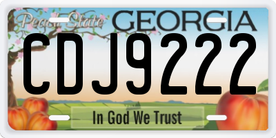 GA license plate CDJ9222