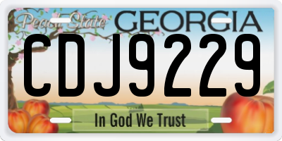 GA license plate CDJ9229