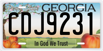 GA license plate CDJ9231