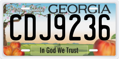 GA license plate CDJ9236