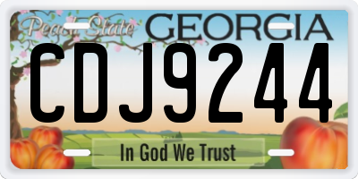GA license plate CDJ9244