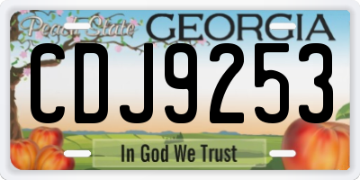 GA license plate CDJ9253