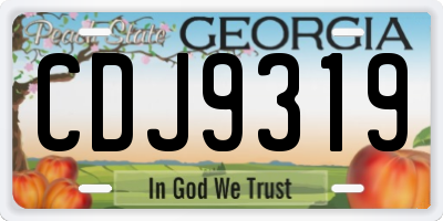 GA license plate CDJ9319