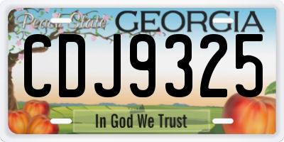 GA license plate CDJ9325