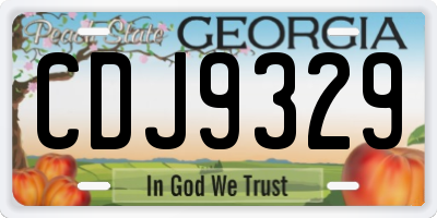 GA license plate CDJ9329
