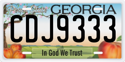 GA license plate CDJ9333