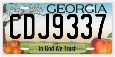 GA license plate CDJ9337