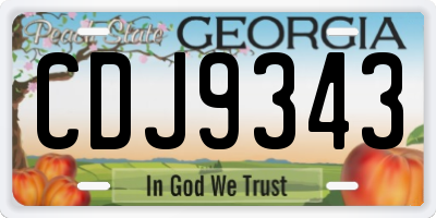 GA license plate CDJ9343