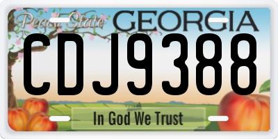 GA license plate CDJ9388