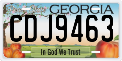 GA license plate CDJ9463