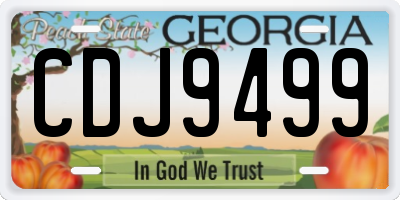 GA license plate CDJ9499