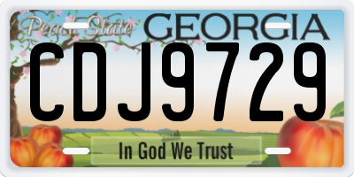 GA license plate CDJ9729
