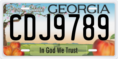 GA license plate CDJ9789