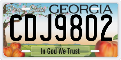 GA license plate CDJ9802
